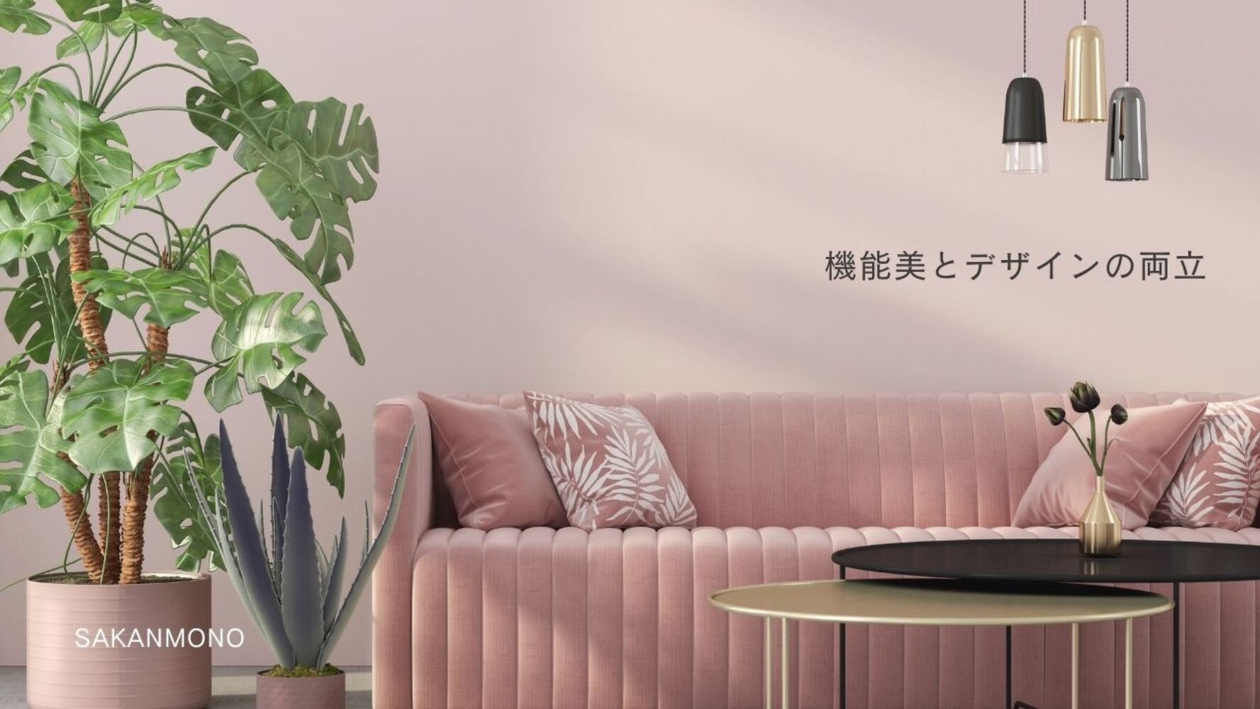 画像6917